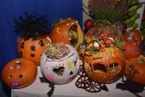 DSC0019 wynik4-485-811x543