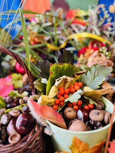 550973655 1312367173721147 6716511795585782723 n 4 11zon