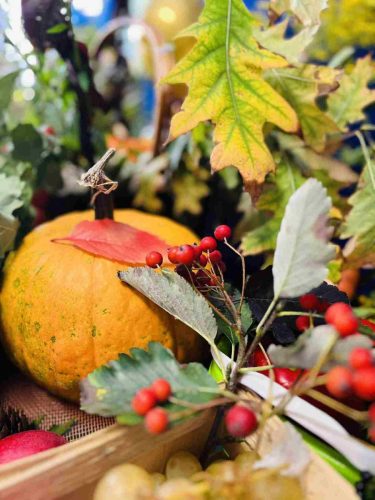 551243330 790870433427785 5821988294291762655 n 12 11zon