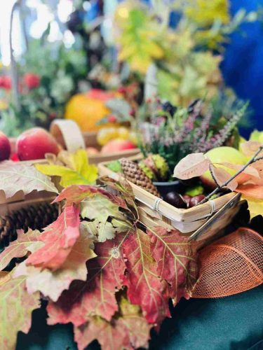 551269521 1373962374730512 3079965678523833295 n 14 11zon