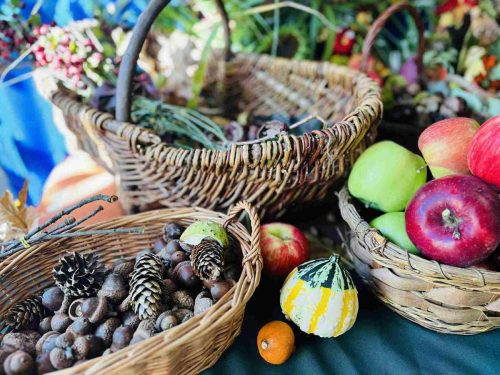 552531958 1081069567173561 1860769201527732938 n 65 11zon