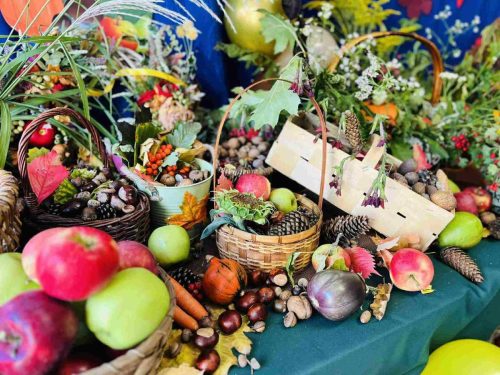 552775525 1870954016817667 7431890401294980474 n 77 11zon