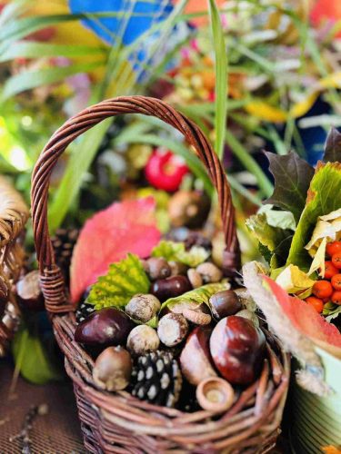 553054656 1870420120545507 3854699864053432202 n 79 11zon