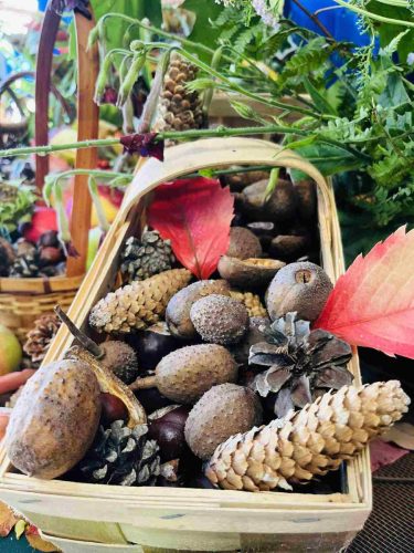 553194772 1820398715217761 1119977984437422838 n 81 11zon