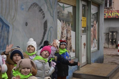 DSC0638 wynik3-352-811x543