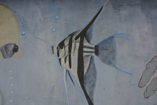 DSC0640 wynik3-258-811x543