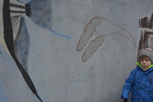 DSC0641 wynik3-147-811x543