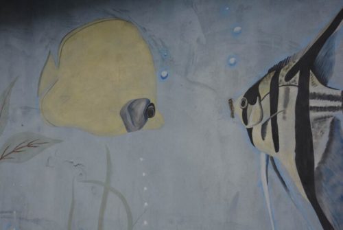 DSC0642 wynik2-835-811x543