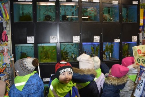 DSC0643 wynik4-090-811x543