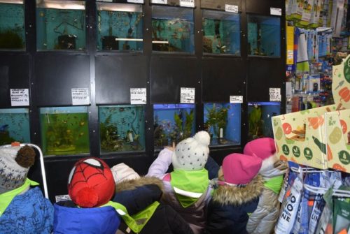 DSC0644 wynik4-156-811x543