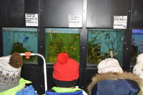 Spacer do sklepu zoologicznego