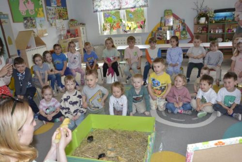 DSC0163 wynik4-121-811x543