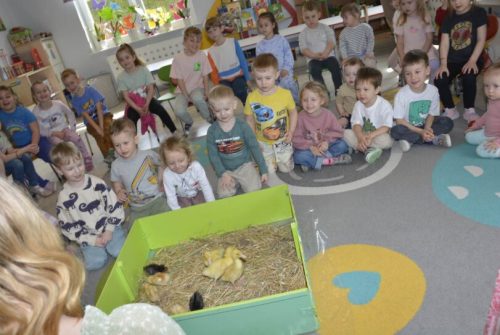 DSC0165 wynik3-860-811x543