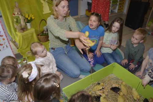 DSC0174 wynik4-145-811x543