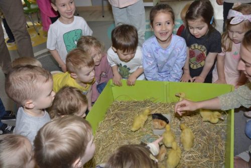 DSC0185 wynik4-267-811x543