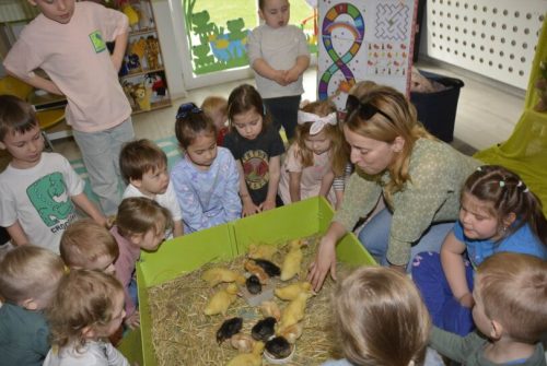 DSC0187 wynik4-062-811x543