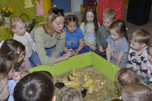 DSC0190 wynik4-223-811x543