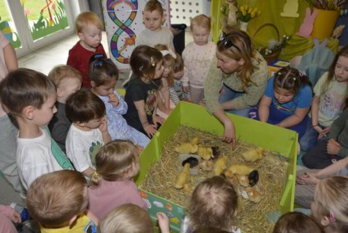 DSC0192 wynik4-044-811x543