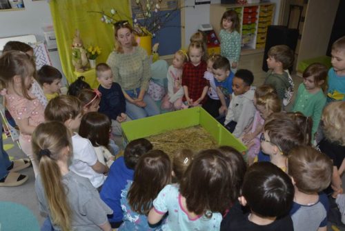 DSC0207 wynik3-854-811x543