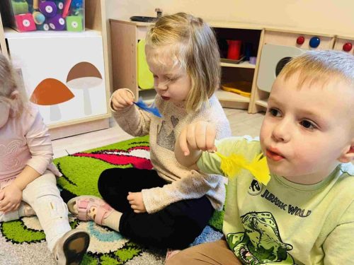 580825368 1821592218717517 9103058103334099216 n 7 11zon