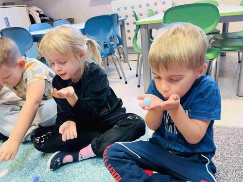 582065546 1351797542960847 2644311263214953557 n 11 11zon