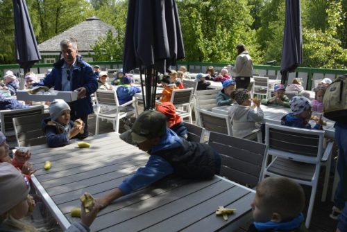 DSC0001 wynik4-105-811x543