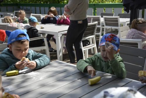 DSC0006 wynik3-132-811x543