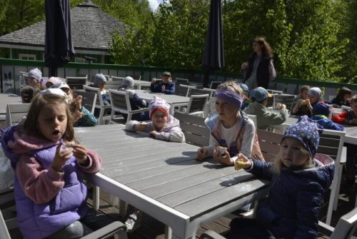 DSC0007 wynik4-197-811x543