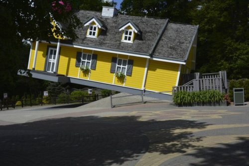 DSC0015 wynik4-059-811x543