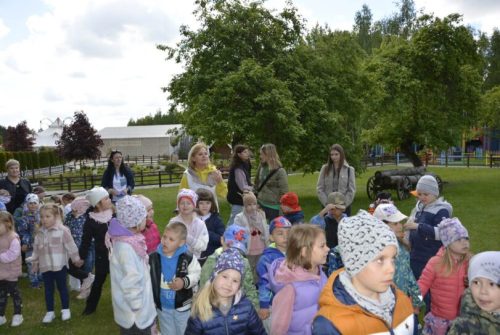 DSC0027 wynik4-371-811x543