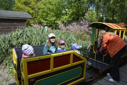 DSC0028 wynik4-134-811x543