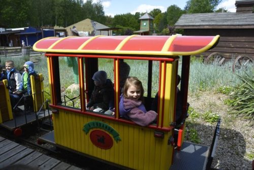 DSC0029 wynik4-455-811x543